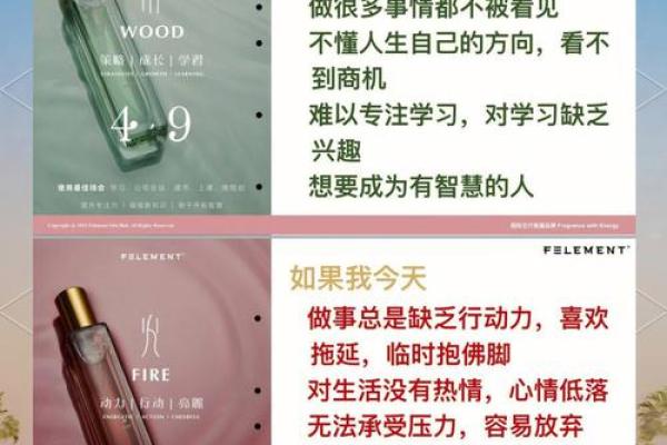 五行营销:如何利用五行理论提升品牌影响力 五行营销:如何利用五行理论提升品牌影响力