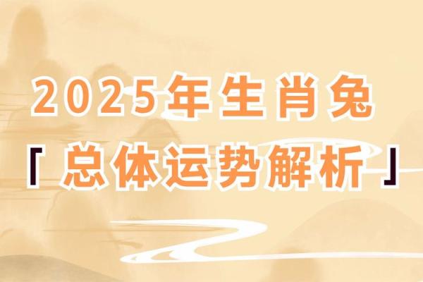 属兔人在本命年如何处理财务危机 属兔人在本命年如何处理财务危机