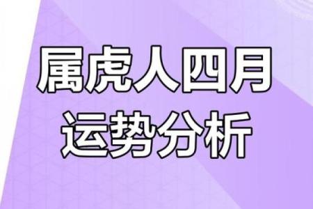 虎生肖运势，运气升降详解