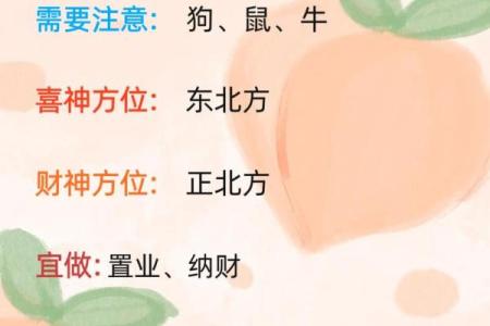 解读十二生肖五行，助你掌握人生好运秘籍
