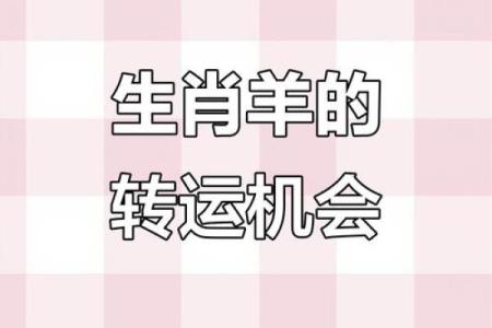 属羊人事业和财运走势