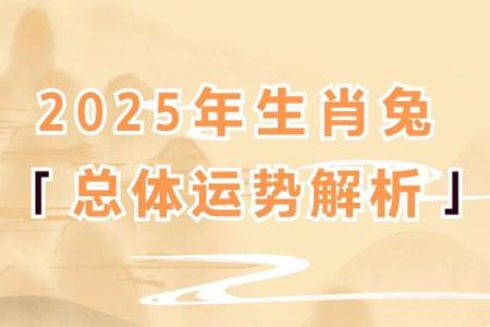 属兔人在本命年如何处理财务危机