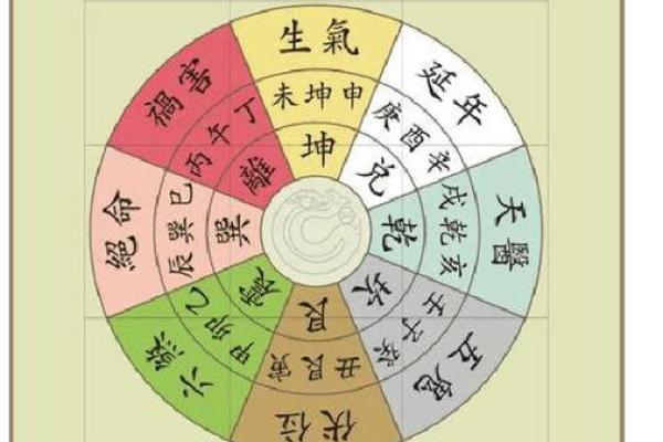 西四命的定义与深度解析 西四命的定义与深度解析
