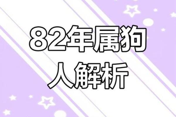狗人年度运势:风生水起或遇阻碍的关键时刻 狗人年度运势:风生水起或遇阻碍的关键时刻