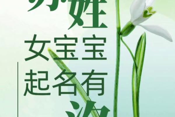 苏姓起名推荐,传承与创新并存 苏姓起名推荐,传承与创新并存