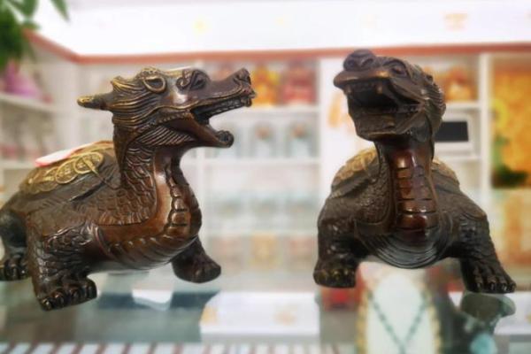 乌龟在办公室风水中的角色与布局策略 乌龟在办公室风水中的角色与布局策略