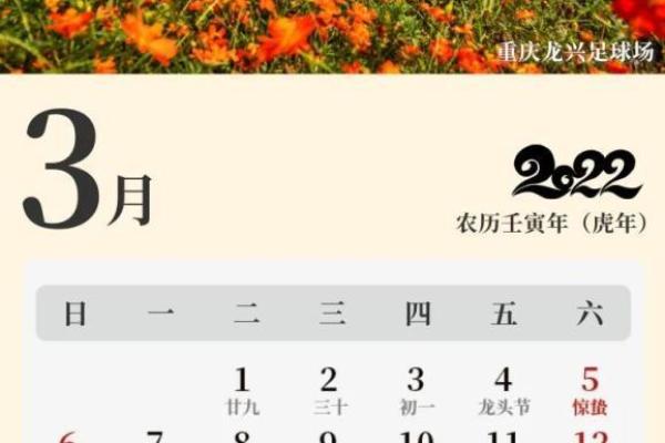 万年历新篇章:2007年,你的专属时间年鉴 万年历新篇章:2007年,你的专属时间年鉴