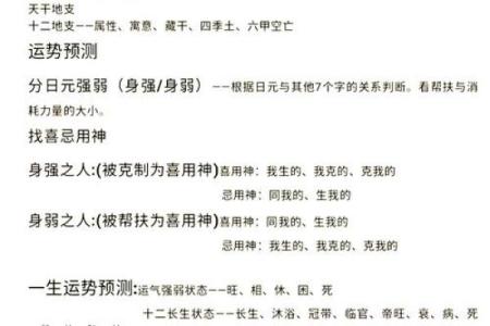 免费算命揭示八字与生肖，探索未来运程的奥秘