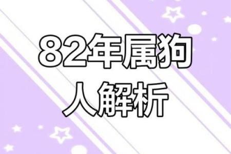 狗人年度运势：风生水起或遇阻碍的关键时刻