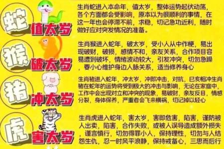 属羊人出生的运势和未来发展