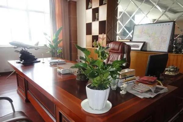 财务办公室朝向如何影响财运与工作效率 财务办公室朝向如何影响财运与工作效率