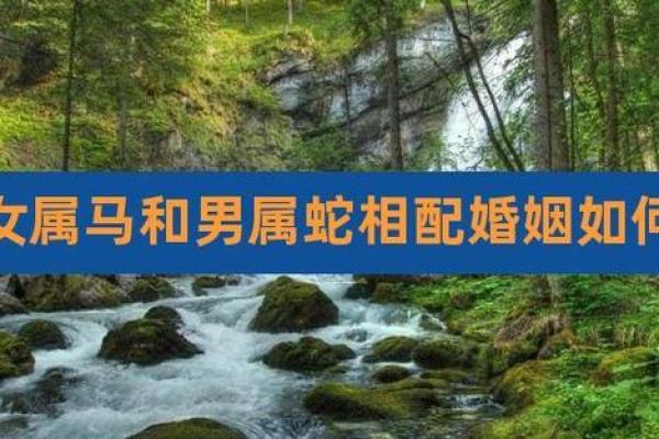 属马人与属蛇人是否能携手共度一生 属马人与属蛇人是否能携手共度一生