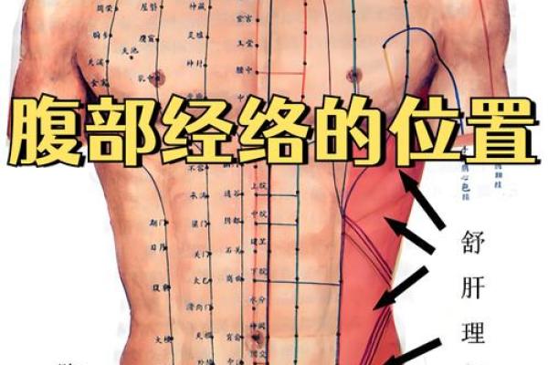 为何腰部是男人健康的关键部位 为何腰部是男人健康的关键部位