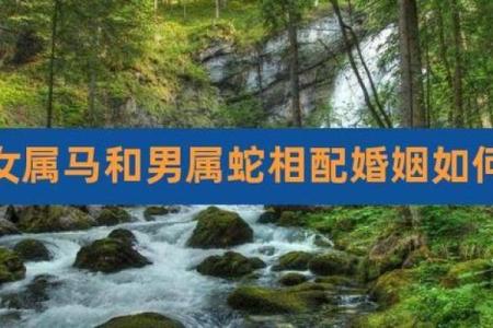 属马人与属蛇人是否能携手共度一生