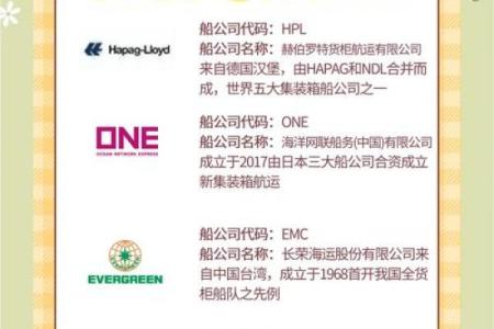 为船务公司取名的创意指南与灵感分享
