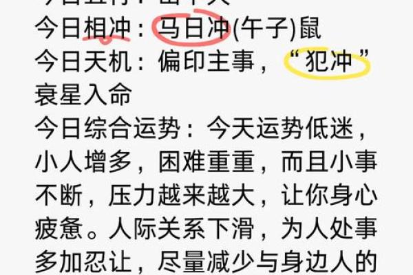 猪人每月运势详解:全年运程与注意事项分析 猪人每月运势详解:全年运程与注意事项分析