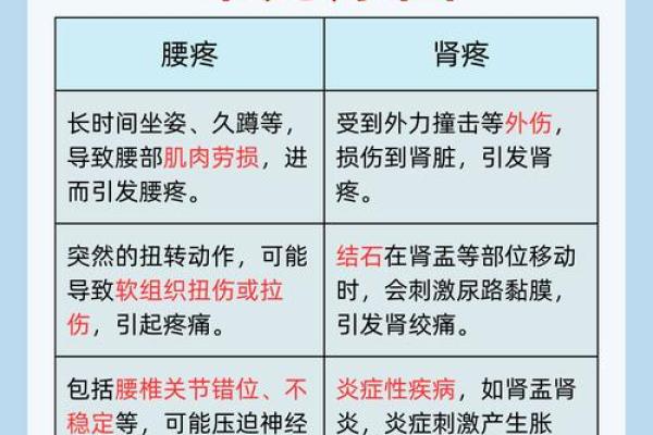 腰部对男人健康的重要性及其关系揭秘 腰部对男人健康的重要性及其关系揭秘