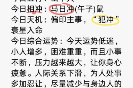 猪人每月运势详解：全年运程与注意事项分析