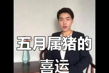 属猪人运程大揭秘，幸运与挑战并存
