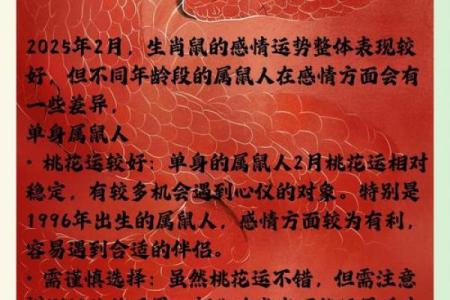 生肖鼠的运势解析：如何在今年提升个人运气