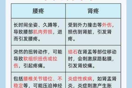 腰部对男人健康的重要性及其关系揭秘