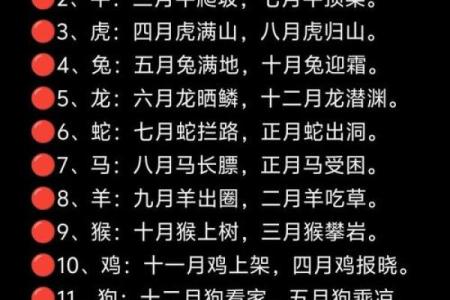 生肖运势揭秘，如何化解困境