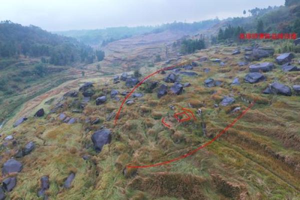 祖坟选址与家族命运的紧密关系解析 祖坟选址与家族命运的紧密关系解析