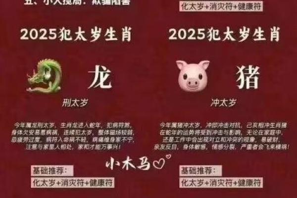属龙和属猪的感情兼容性分析:是否能够天作之合 属龙和属猪的感情兼容性分析:是否能够天作之合
