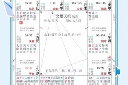 紫薇命格的奥秘解析：如何通过命盘了解自身命运