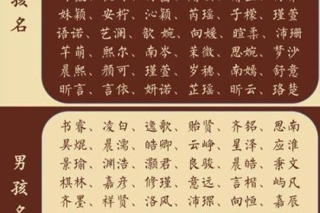 刘允宝宝起名字：寓意与音韵的完美结合