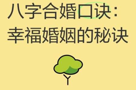 二婚八字合婚的秘诀：如何找到真爱