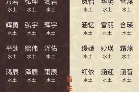带土女孩名字大全：为您的宝贝选个美丽名字