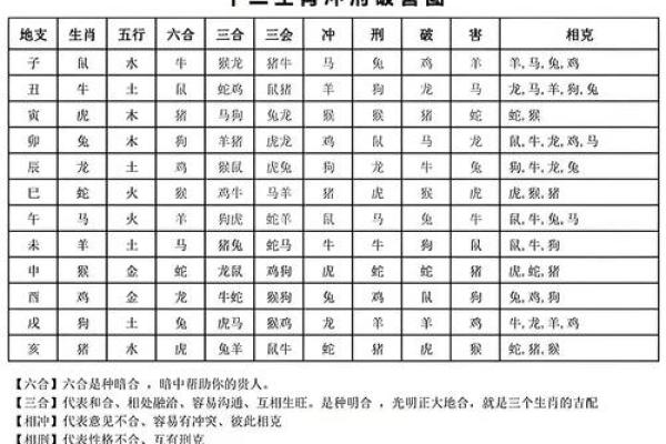 狗龙配对是否合适?揭秘生肖搭配的深层次解析 狗龙配对是否合适?揭秘生肖搭配的深层次解析