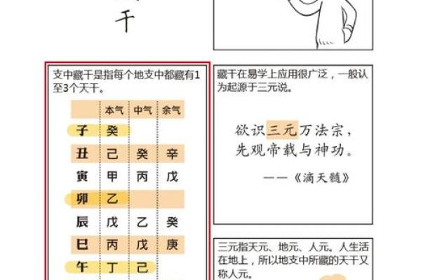 綜字五行分析:如何理解綜字在命理中的作用与影响 綜字五行分析:如何理解綜字在命理中的作用与影响
