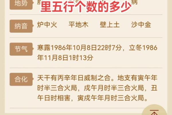 綜字五行分析:如何理解綜字在命理中的作用与影响 綜字五行分析:如何理解綜字在命理中的作用与影响