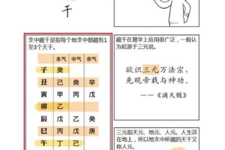 綜字五行分析：如何理解綜字在命理中的作用与影响