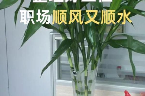 办公环境中风水桌尺寸对工作运势的影响 办公环境中风水桌尺寸对工作运势的影响