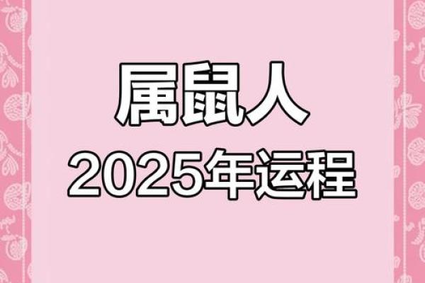 鼠年运势全景预测:顺利与困难并存的挑战 鼠年运势全景预测:顺利与困难并存的挑战
