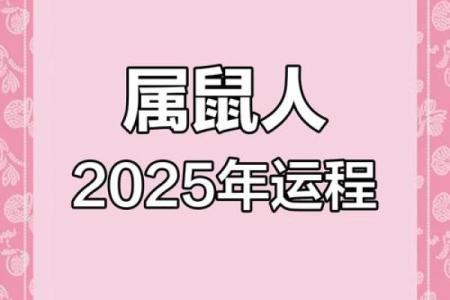 鼠年运势全景预测：顺利与困难并存的挑战