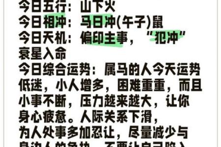 探索马年生人各月运势起伏与应对策略