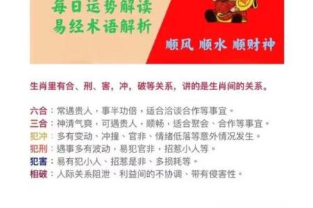 十二生肖今日运势走势，机会与风险同在