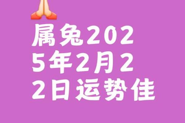 属兔月度运程解析 属兔月度运程解析
