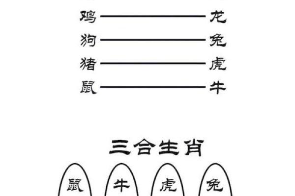生肖运程解析:哪些生肖运势将迎来转折点 生肖运程解析:哪些生肖运势将迎来转折点