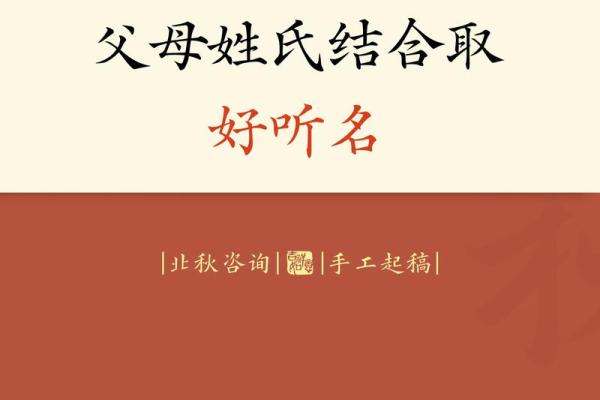 父母为孩子取名的灵感与流行风潮 父母为孩子取名的灵感与流行风潮