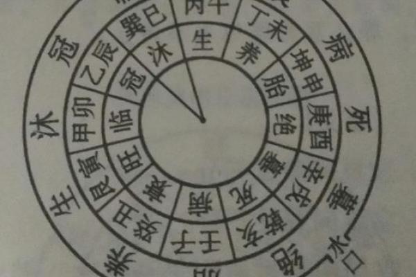 阴命木相人的生活与运势解读 阴命木相人的生活与运势解读