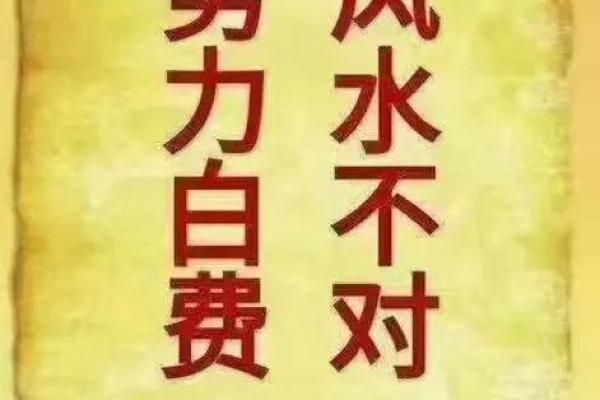 阴命木相人的生活与运势解读 阴命木相人的生活与运势解读