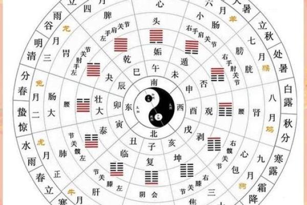 农历是新历还是旧历?专家给你答案! 农历是新历还是旧历?专家给你答案!