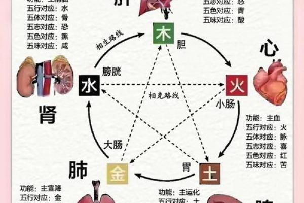 品五行属什么?揭秘五行与品格的关系 品五行属什么?揭秘五行与品格的关系