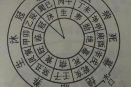 阴命木相人的生活与运势解读