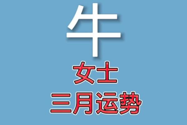 属牛人每月运势全解析 属牛人每月运势全解析